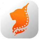 真狼影视:您的专属影视导航,畅享蓝光和超高清影音体验