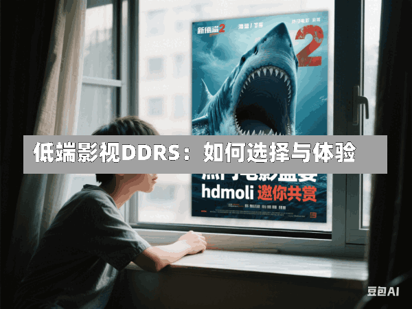 低端影视DDRS:如何选择与体验