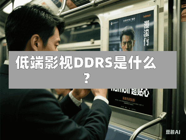低端影视DDRS是什么?